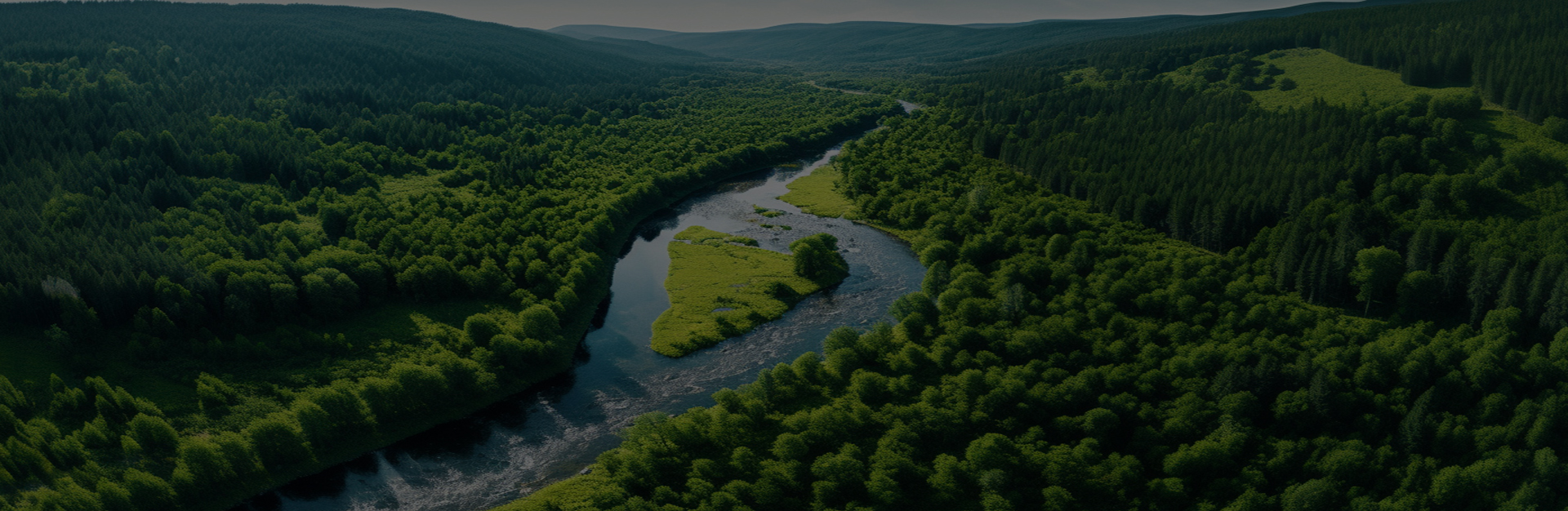 Jiaxing Dingshi Machinery Manufacturing Co., Ltd.